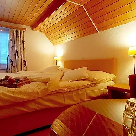 Szálloda Il Fiore Steinach Sg 3*