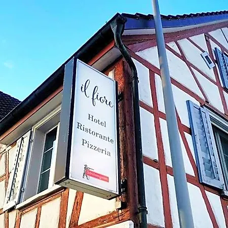 Il Fiore Steinach Sg 3*